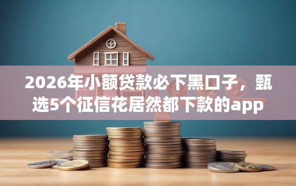2026年小额贷款必下黑口子，甄选5个征信花居然都下款的app