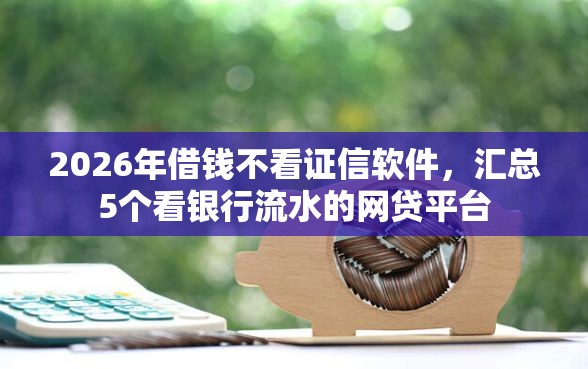 2026年借钱不看证信软件，汇总5个看银行流水的网贷平台