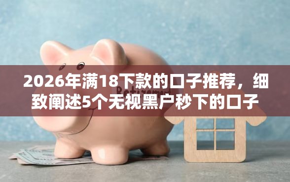 2026年满18下款的口子推荐，细致阐述5个无视黑户秒下的口子