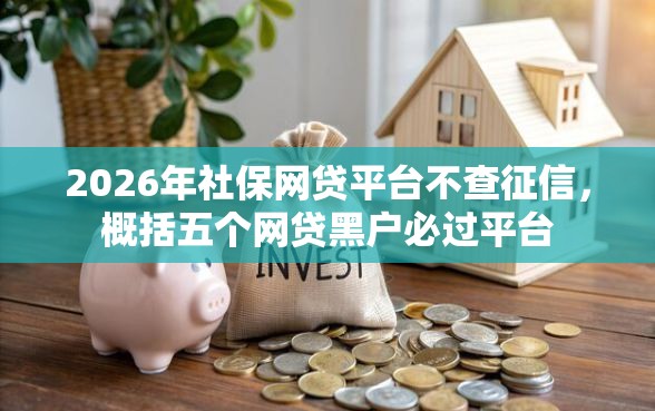 2026年社保网贷平台不查征信，概括五个网贷黑户必过平台