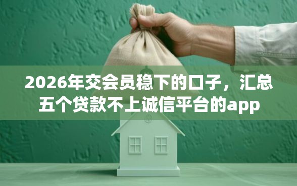 2026年交会员稳下的口子，汇总五个贷款不上诚信平台的app