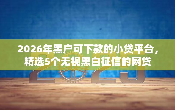 2026年黑户可下款的小贷平台，精选5个无视黑白征信的网贷