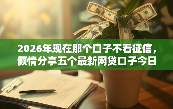 2026年现在那个口子不看征信，倾情分享五个最新网贷口子今日整理这五个平台