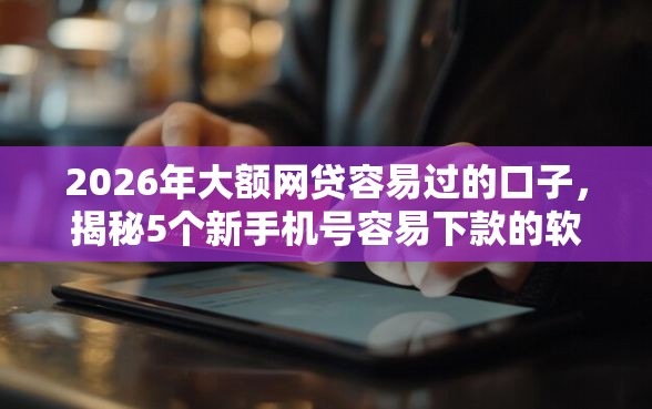 2026年大额网贷容易过的口子，揭秘5个新手机号容易下款的软件