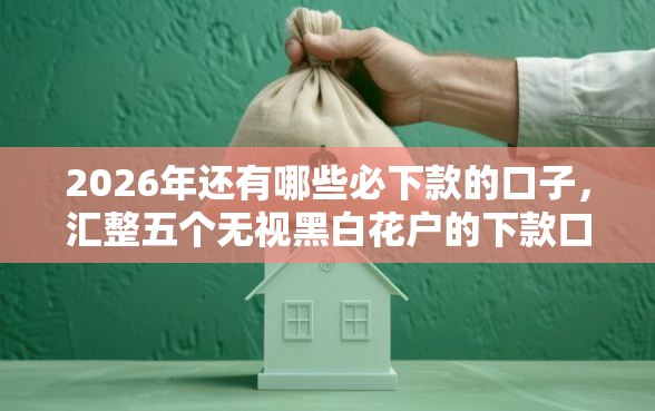 2026年还有哪些必下款的口子，汇整五个无视黑白花户的下款口子