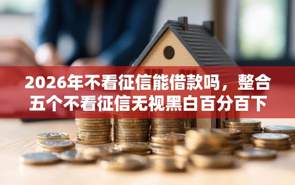 2026年不看征信能借款吗，整合五个不看征信无视黑白百分百下款