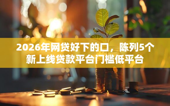 2026年网贷好下的口，陈列5个新上线贷款平台门槛低平台