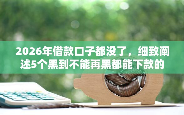 2026年借款口子都没了，细致阐述5个黑到不能再黑都能下款的口子