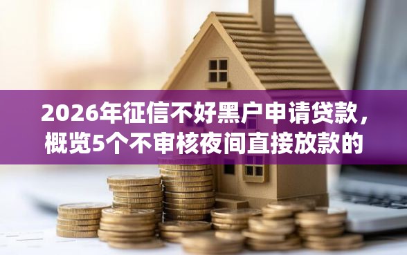 2026年征信不好黑户申请贷款，概览5个不审核夜间直接放款的网贷app