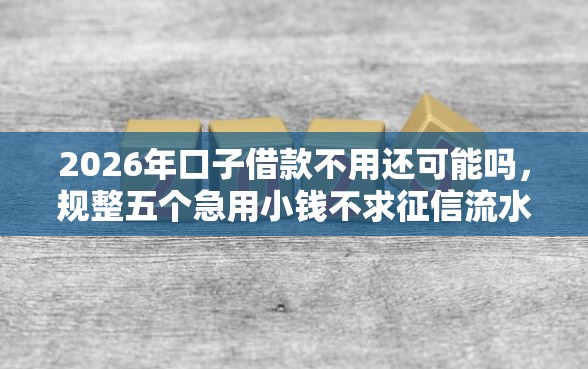 2026年口子借款不用还可能吗，规整五个急用小钱不求征信流水轻松贷的软件