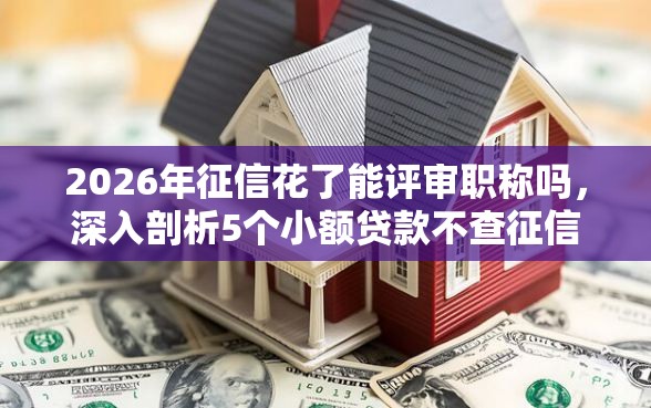 2026年征信花了能评审职称吗，深入剖析5个小额贷款不查征信的平台