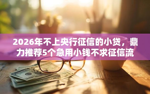 2026年不上央行征信的小贷，鼎力推荐5个急用小钱不求征信流水轻松贷的软件