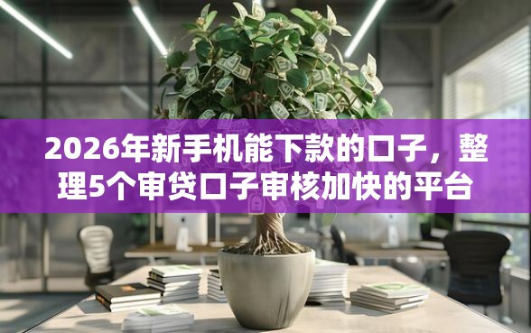 2026年新手机能下款的口子，整理5个审贷口子审核加快的平台