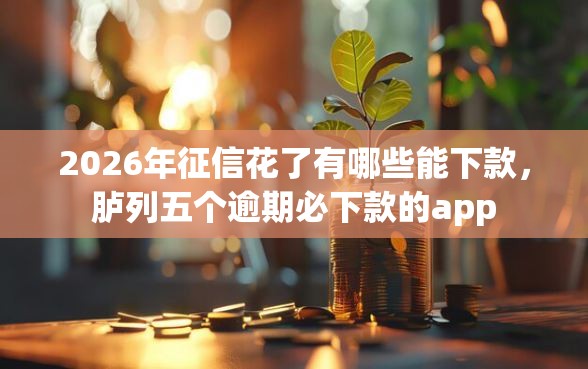 2026年征信花了有哪些能下款，胪列五个逾期必下款的app