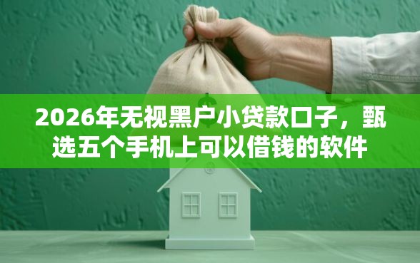 2026年无视黑户小贷款口子，甄选五个手机上可以借钱的软件