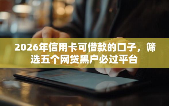 2026年信用卡可借款的口子，筛选五个网贷黑户必过平台