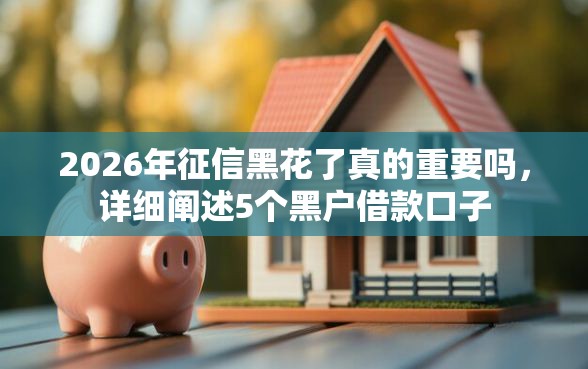 2026年征信黑花了真的重要吗，详细阐述5个黑户借款口子