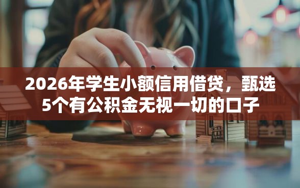 2026年学生小额信用借贷，甄选5个有公积金无视一切的口子