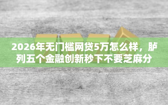 2026年无门槛网贷5万怎么样，胪列五个金融创新秒下不要芝麻分的平台