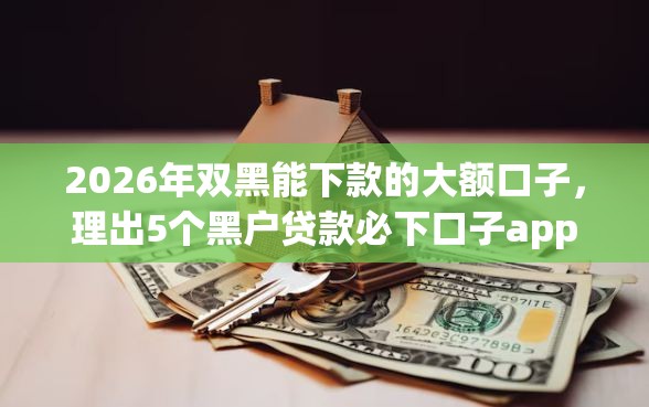 2026年双黑能下款的大额口子，理出5个黑户贷款必下口子app
