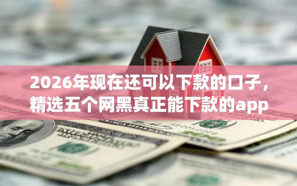 2026年现在还可以下款的口子，精选五个网黑真正能下款的app