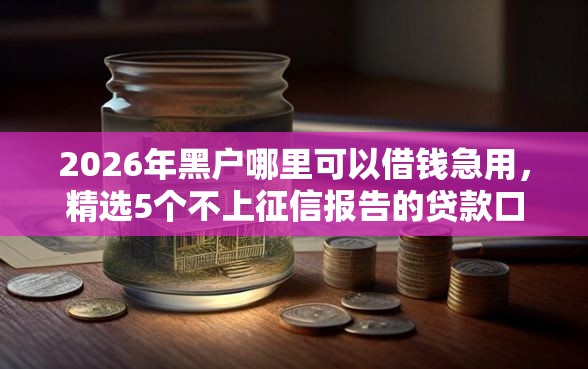 2026年黑户哪里可以借钱急用，精选5个不上征信报告的贷款口子