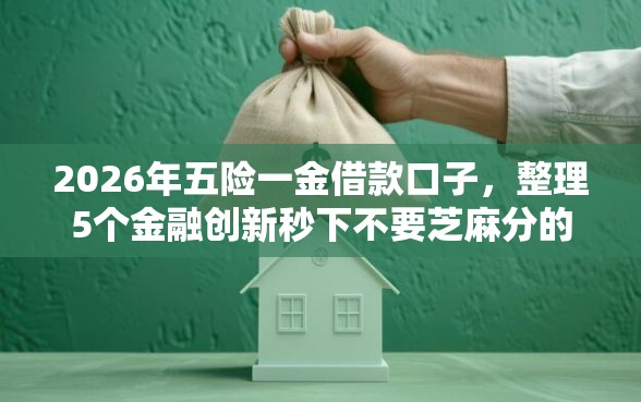 2026年五险一金借款口子，整理5个金融创新秒下不要芝麻分的平台