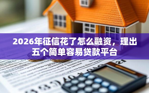 2026年征信花了怎么融资，理出五个简单容易贷款平台