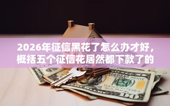 2026年征信黑花了怎么办才好，概括五个征信花居然都下款了的软件