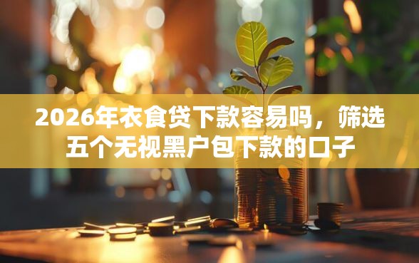 2026年衣食贷下款容易吗，筛选五个无视黑户包下款的口子