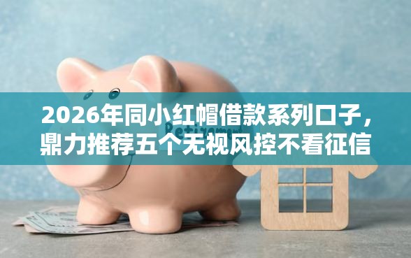 2026年同小红帽借款系列口子，鼎力推荐五个无视风控不看征信的网贷