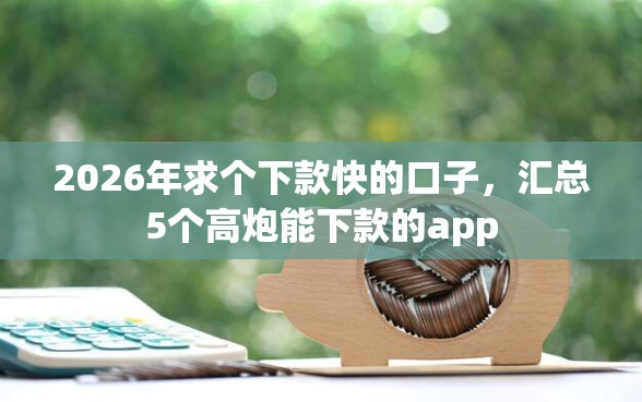2026年求个下款快的口子，汇总5个高炮能下款的app