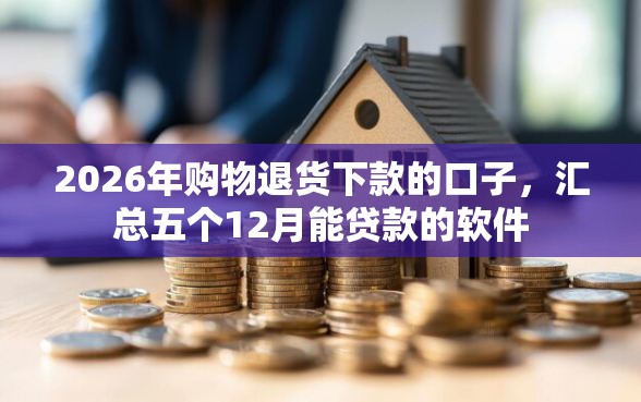 2026年购物退货下款的口子，汇总五个12月能贷款的软件