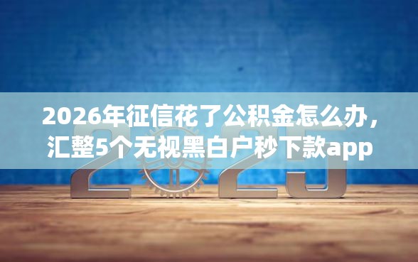 2026年征信花了公积金怎么办，汇整5个无视黑白户秒下款app