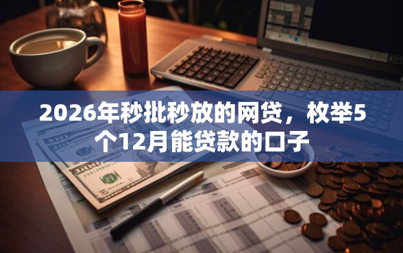 2026年秒批秒放的网贷，枚举5个12月能贷款的口子