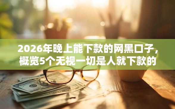 2026年晚上能下款的网黑口子，概览5个无视一切是人就下款的口子