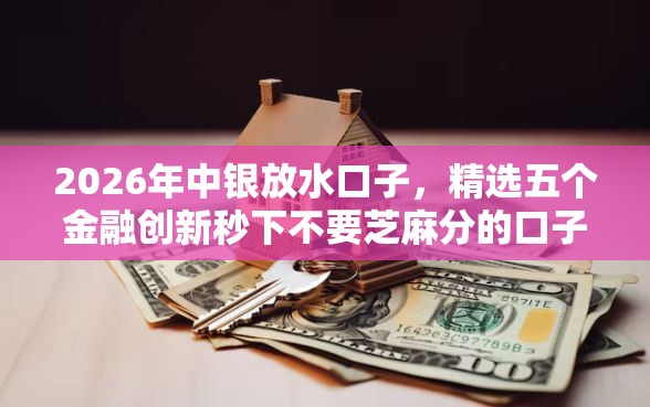 2026年中银放水口子，精选五个金融创新秒下不要芝麻分的口子