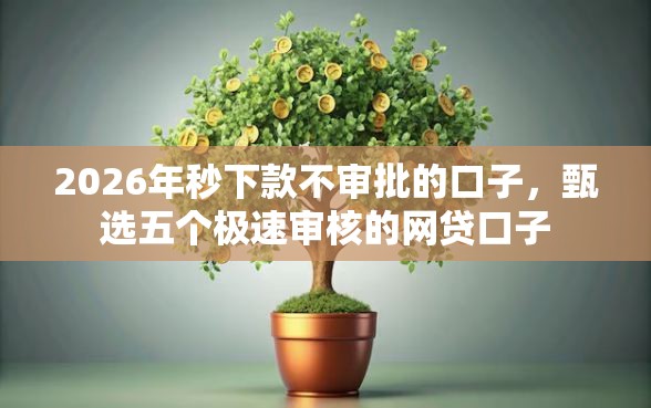 2026年秒下款不审批的口子，甄选五个极速审核的网贷口子
