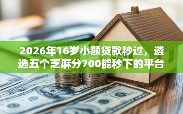 2026年16岁小额贷款秒过，遴选五个芝麻分700能秒下的平台