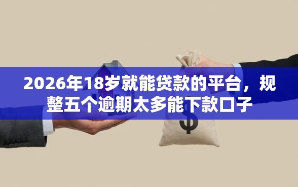 2026年18岁就能贷款的平台，规整五个逾期太多能下款口子