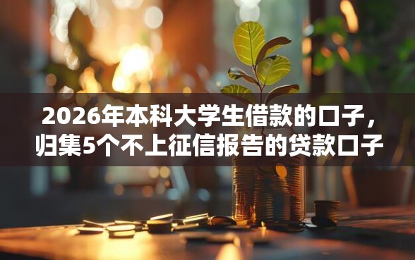 2026年本科大学生借款的口子，归集5个不上征信报告的贷款口子