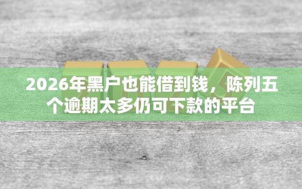 2026年黑户也能借到钱，陈列五个逾期太多仍可下款的平台