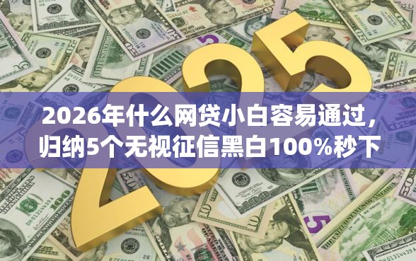 2026年什么网贷小白容易通过，归纳5个无视征信黑白100%秒下app