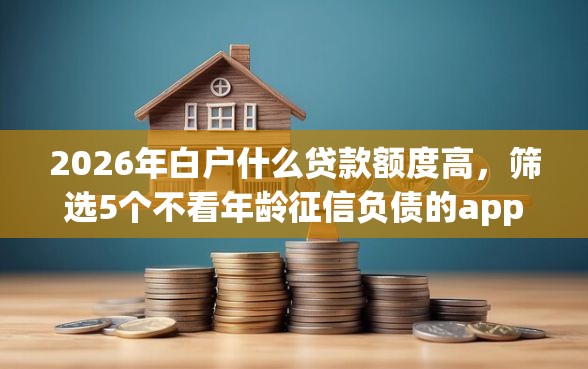 2026年白户什么贷款额度高，筛选5个不看年龄征信负债的app