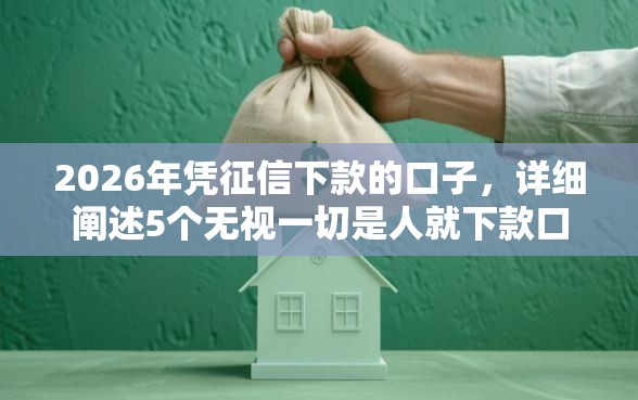 2026年凭征信下款的口子，详细阐述5个无视一切是人就下款口子