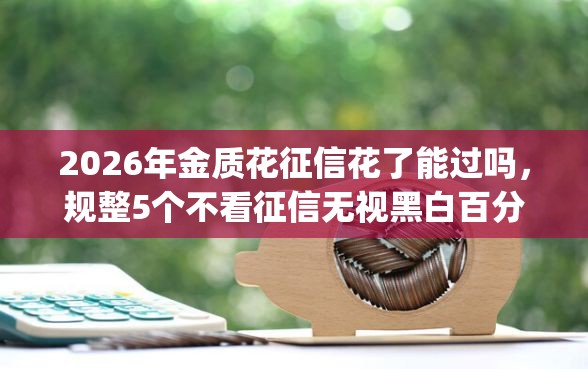2026年金质花征信花了能过吗，规整5个不看征信无视黑白百分百下款app
