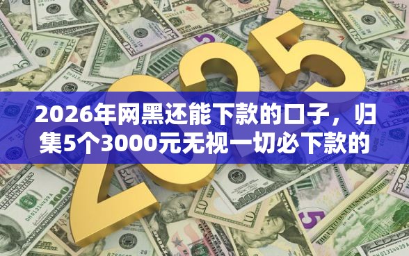 2026年网黑还能下款的口子，归集5个3000元无视一切必下款的口子