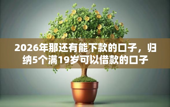 2026年那还有能下款的口子，归纳5个满19岁可以借款的口子
