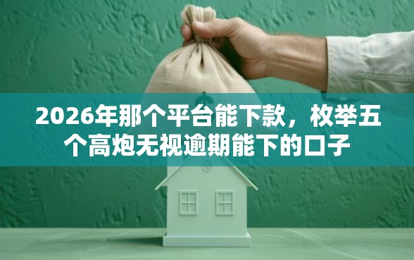 2026年那个平台能下款,枚举五个高炮无视逾期能下的口子 2026年那个平台能下款,枚举五个高炮无视逾期能下的口子