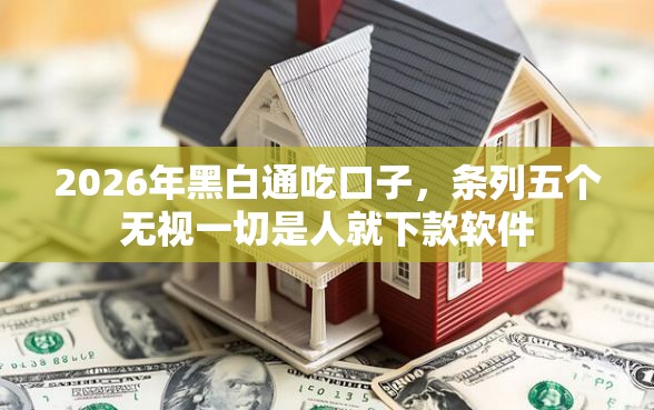2026年黑白通吃口子，条列五个无视一切是人就下款软件